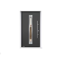 Vhodnaya dver' Thermo 65 motiv THP 750F