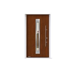 Vhodnaya dver' Thermo 65 motiv THP 750F